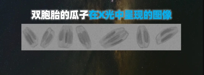 http://m.ls7437f.cn/Upload/ueditor/1739781751262784.png