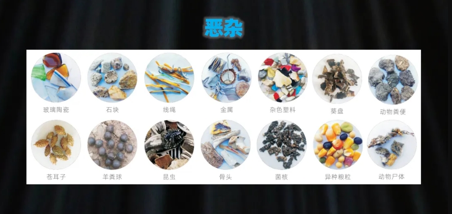 http://m.ls7437f.cn/Upload/ueditor/1739781798851232.png