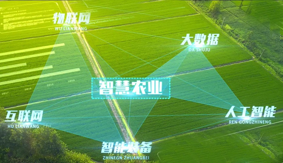 http://m.ls7437f.cn/Upload/ueditor/1743472775737739.jpg