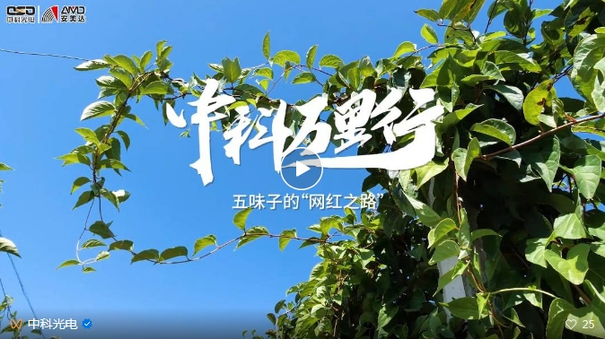 http://m.ls7437f.cn/Upload/ueditor/1743473521157045.png