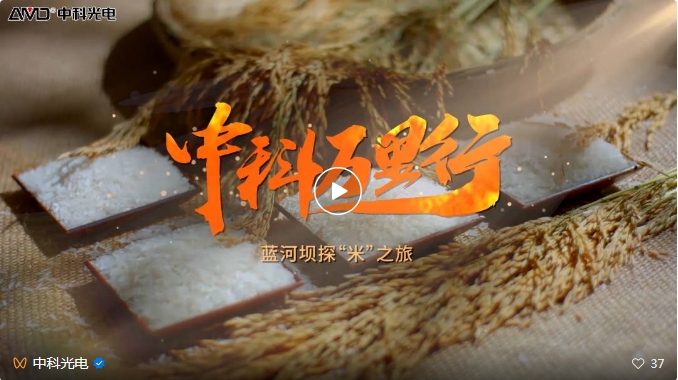 http://m.ls7437f.cn/Upload/ueditor/1743473561850796.png